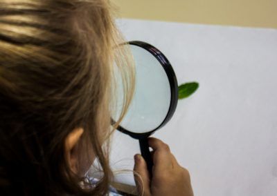 TIM (Tallers Intel·ligències Múltiples)