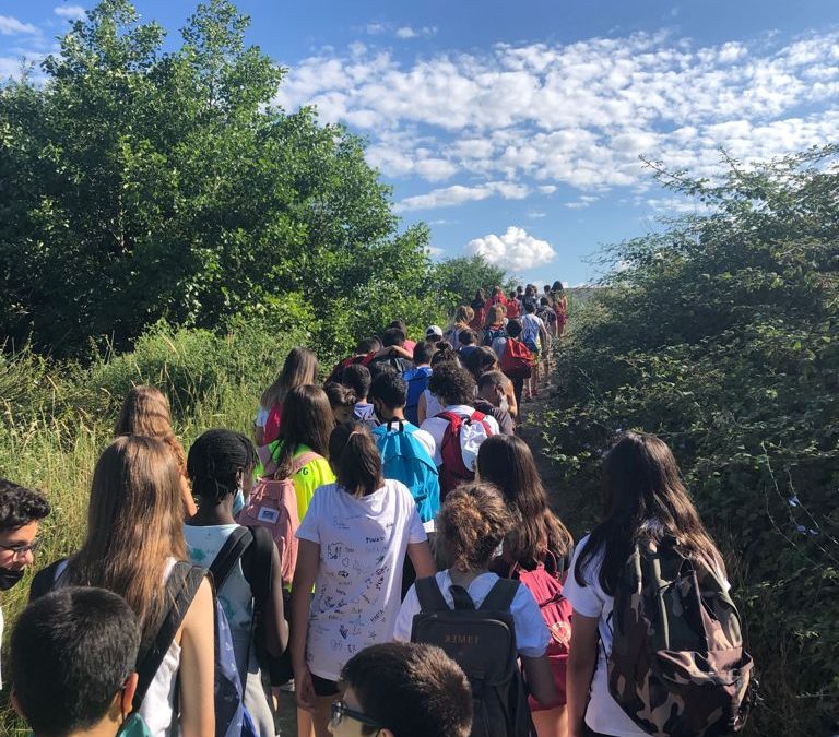 1r d’ESO: sortida de convivència al Parc del Falgar i la Verneda. Les Franqueses.