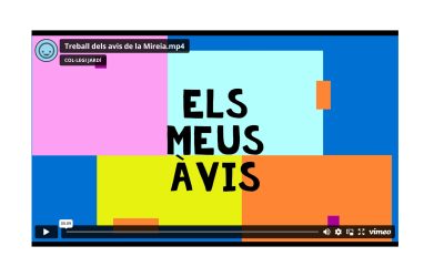 AVIS, JUGUEM? Projecte a 2n de primària.